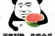娱乐吃瓜酱谐音网名