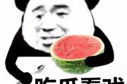 娱乐吃瓜酱背单词
