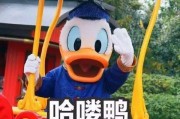 吃瓜娱乐鸭,揭秘娱乐圈幕后故事
